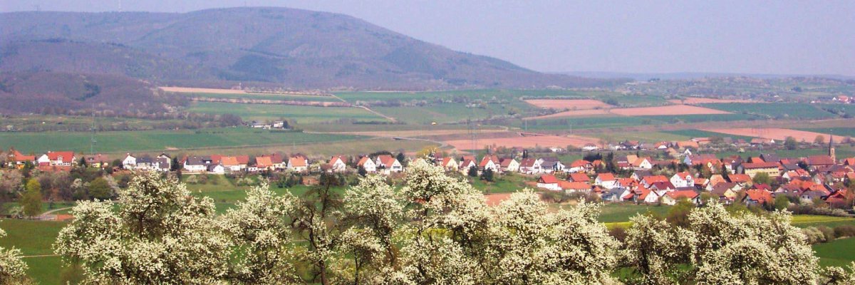 Börrstadt, view of the town