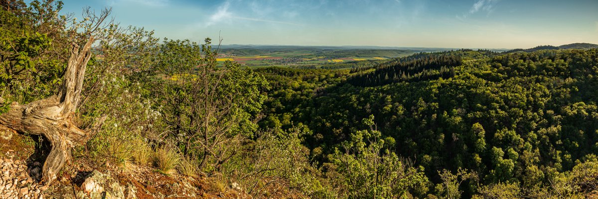 Reißender Fels Donnersberg